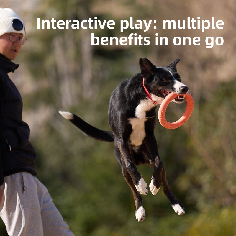 Bite-Resistant Soft Pull-Ring  - đánh giá và giá Frisbee Freestyle Disc