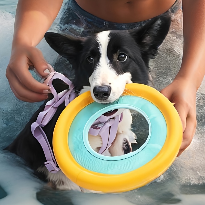 Floating Dog Frisbee, Outdoor  - đánh giá và giá Frisbee Freestyle Disc