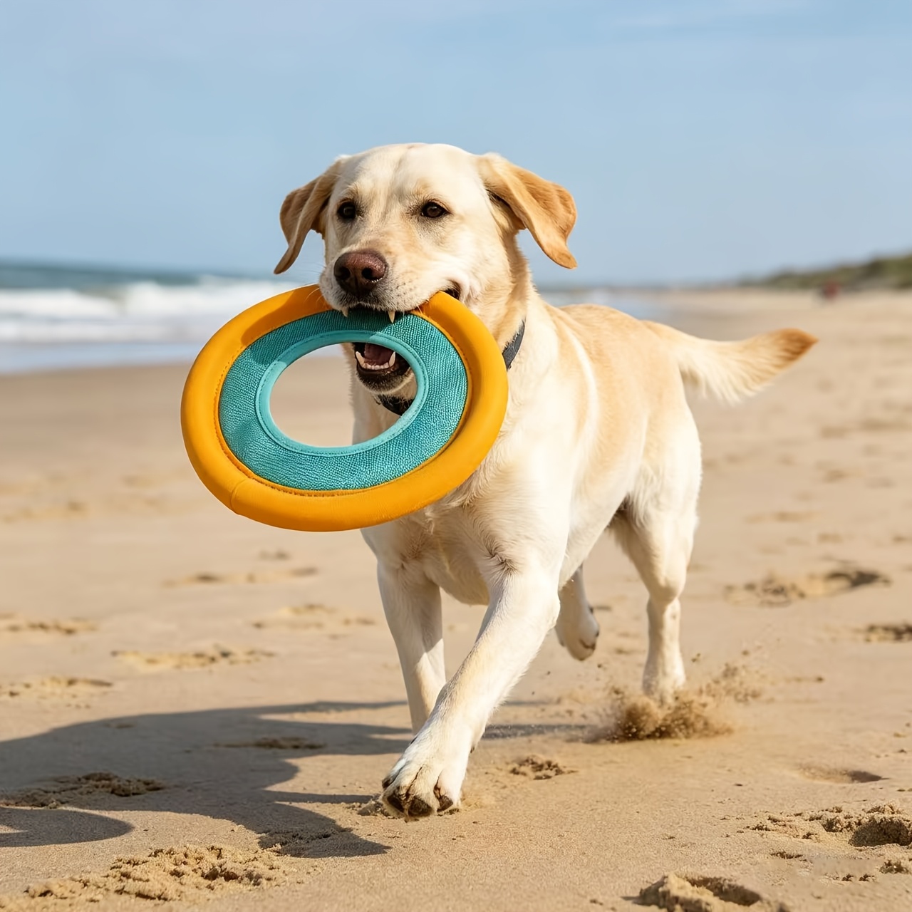 Floating Dog Frisbee, Outdoor  - đánh giá và giá Frisbee Freestyle Disc