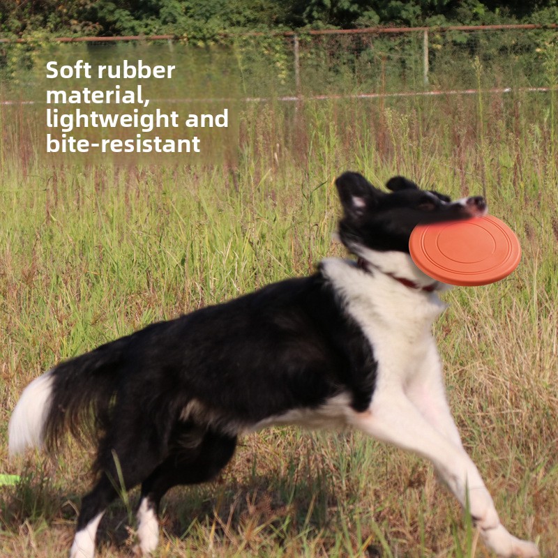 Soft Flying, Dog Toys Interact - đánh giá và giá Frisbee Freestyle Disc