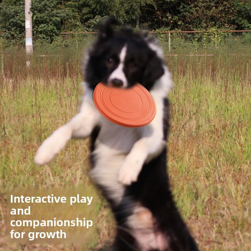 Soft Flying, Dog Toys Interact - đánh giá và giá Frisbee Freestyle Disc