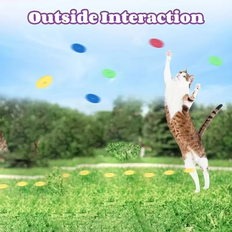 Funny Cat Toys Creative Turnip - đánh giá và giá Frisbee Freestyle Disc