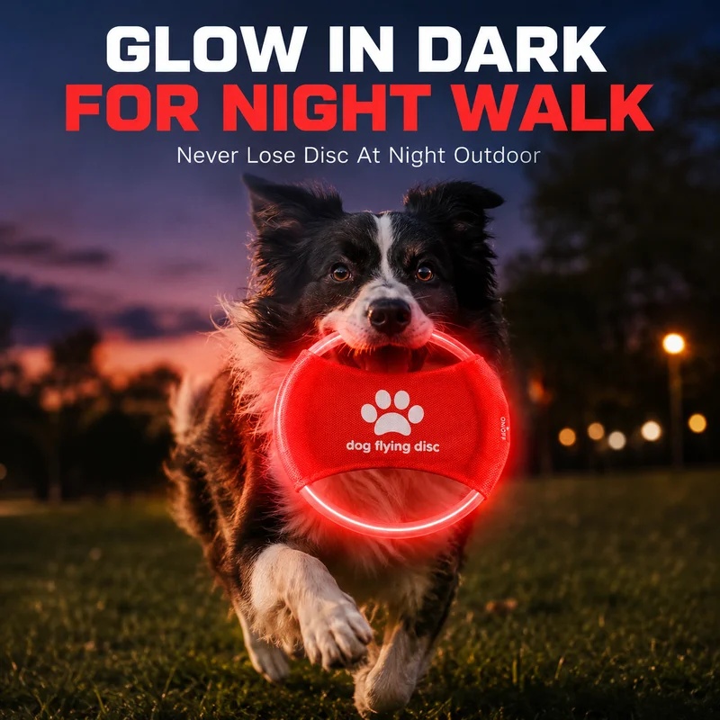 LED Glow Dog Flying Disc USB R - đánh giá và giá Frisbee Freestyle Disc