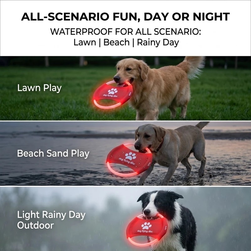 LED Glow Dog Flying Disc USB R - đánh giá và giá Frisbee Freestyle Disc
