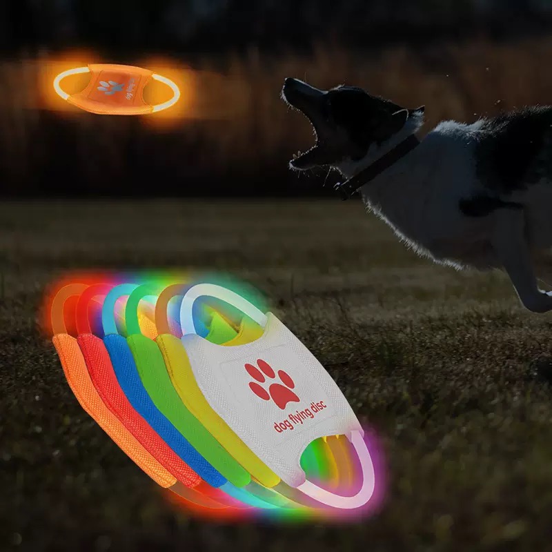 LED Glow Dog Flying Disc USB R - đánh giá và giá Frisbee Freestyle Disc