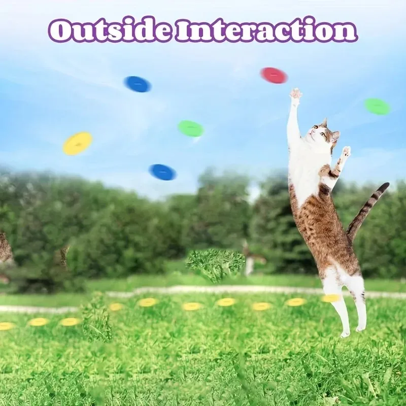 Funny Cat Toys Creative Turnip - đánh giá và giá Frisbee Freestyle Disc