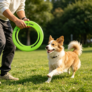 1PC Durable Hollow Ring Frisbe - đánh giá và giá Frisbee Freestyle Disc