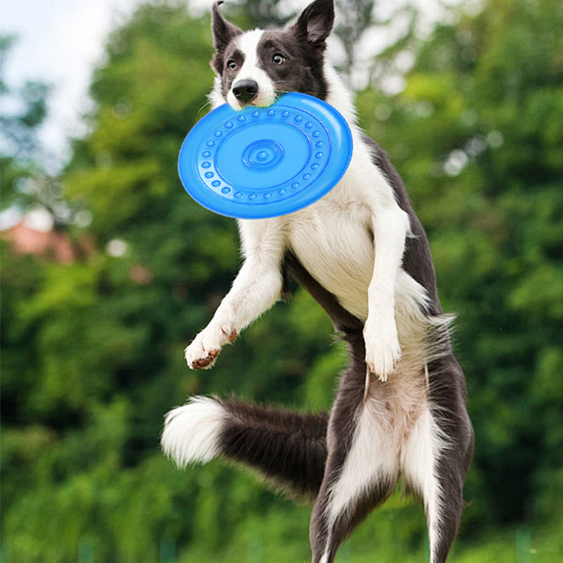 Durable Chewable Pet Training  - đánh giá và giá Frisbee Freestyle Disc