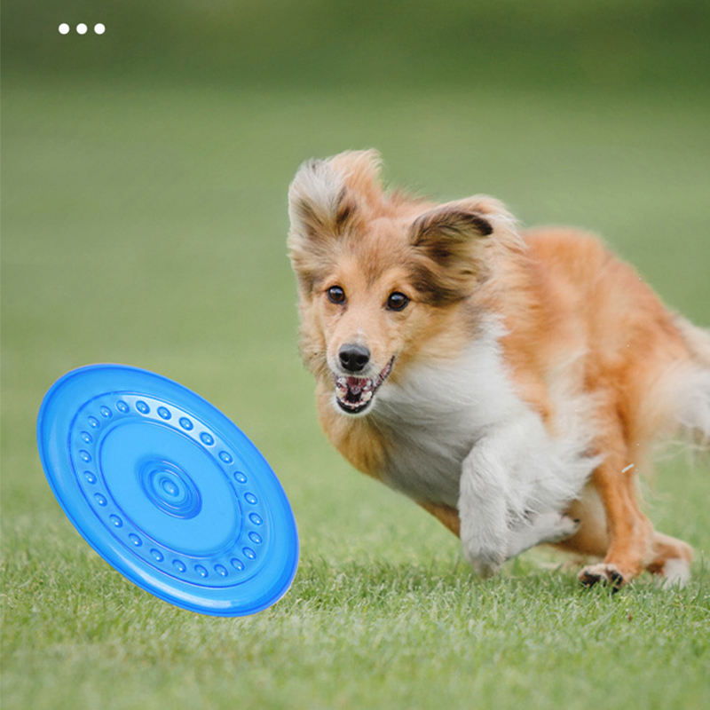 Durable Chewable Pet Training  - đánh giá và giá Frisbee Freestyle Disc