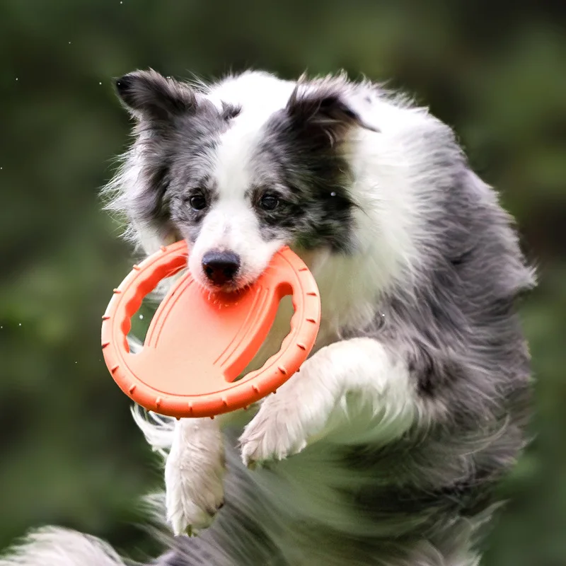 Durable Dog Flying Disc Toy Pe - đánh giá và giá Frisbee Freestyle Disc