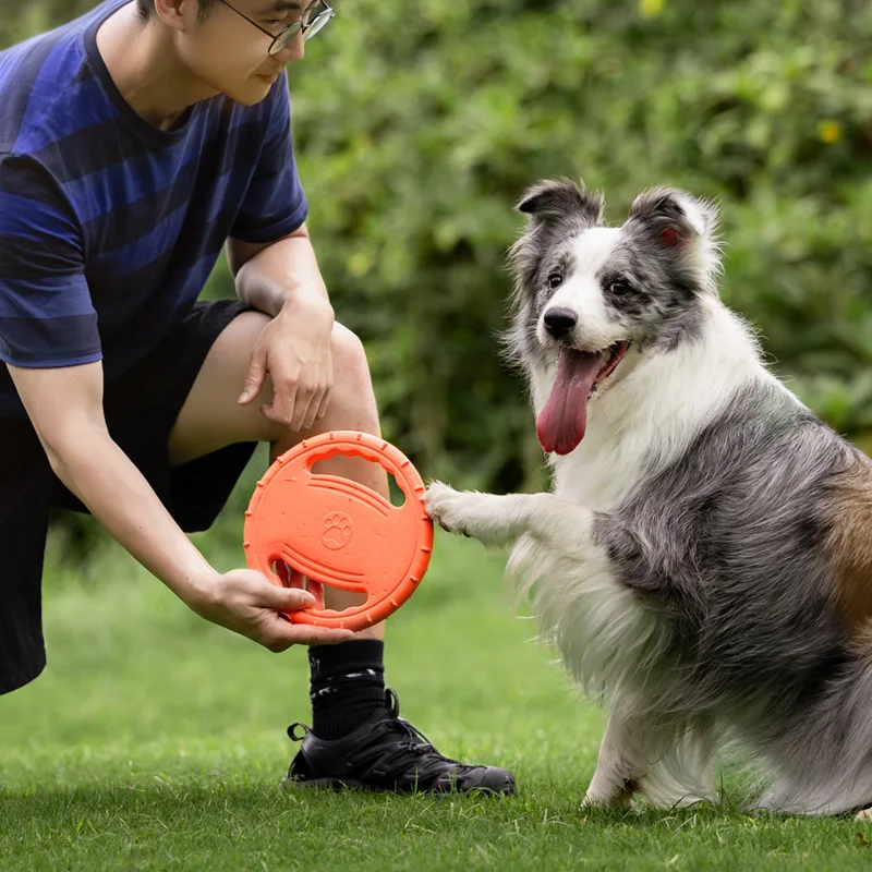 Durable Dog Flying Disc Toy Pe - đánh giá và giá Frisbee Freestyle Disc