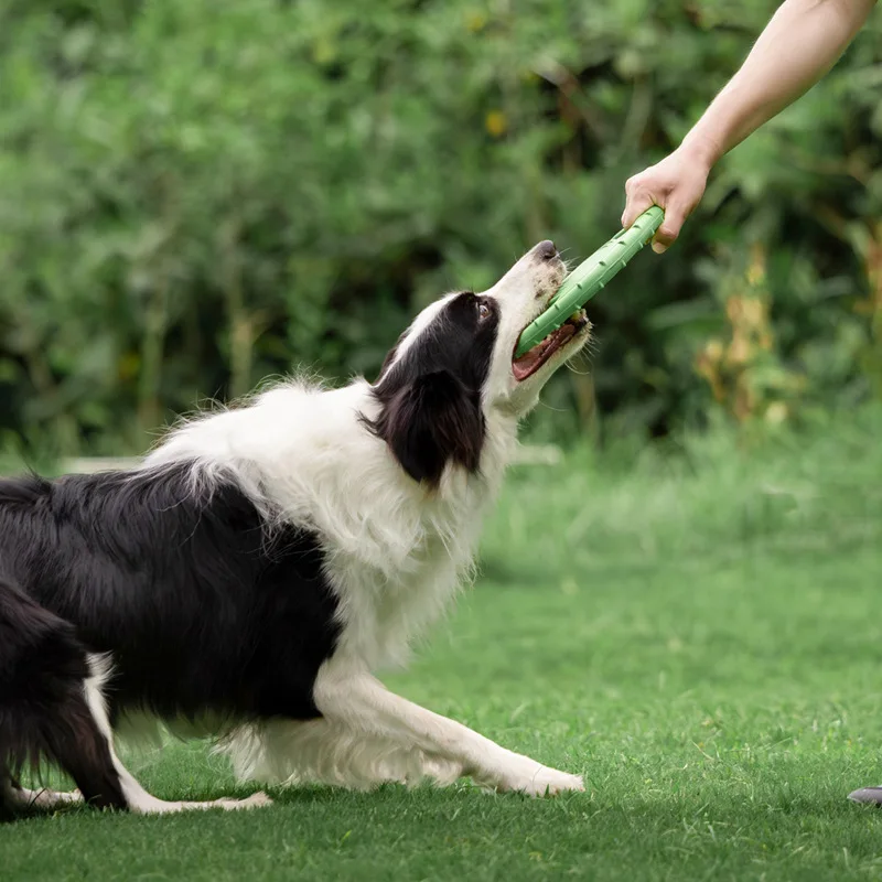 Durable Dog Flying Disc Toy Pe - đánh giá và giá Frisbee Freestyle Disc
